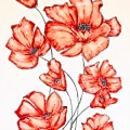Elegant Poppies
