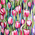 Tulip Garden in Spring